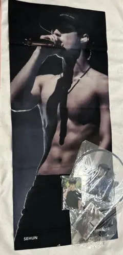 EXO SEHUNセフン　スローガン　【団扇、カード付き】