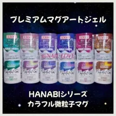 キャンドゥ/パルキコイ/プレミアム/マグアートジェル/HANABIカラフル微粒子のサムネイル