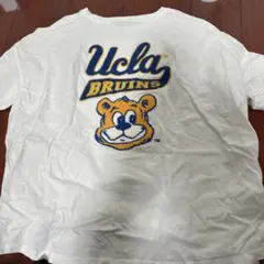 UCLA Bruins ロゴ Tシャツ ホワイト