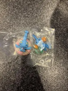 ポケモン ぎらぎらサンシャイン5 アローラ　ミズゴロウ マナフィ