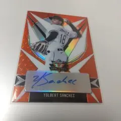 Item thumbnail for item cb811157-67f6-4b4d-874d-26f9e73075e0