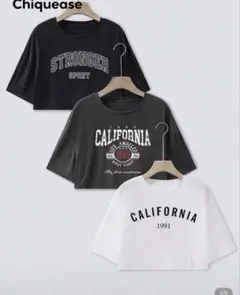 【美品】レタープリントグラフィックT シャツ 3枚セットカジュアルラウ