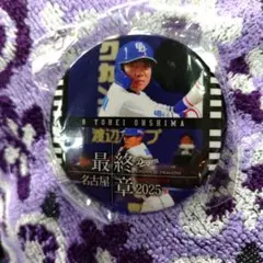 中日ドラゴンズ　最終章　缶バッジ 大島洋平選手