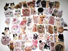 Item thumbnail for item 0cf966d9-b7e5-49fb-aad4-2dc25b1a5967