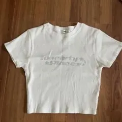 WEGO リブ素材 グラフィックTシャツ Fサイズ　ちびTシャツ