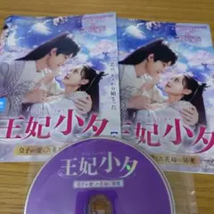 中国ドラマDVD 蘭陵王妃 王と皇帝に愛された女 全23巻 - メルカリ