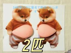 2枚　おなかシール　柴犬　ぷにぷにシール　ぷくぷくシール　３D　立体　シール帳