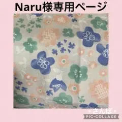 Item thumbnail for item a0bccb19-7600-4679-b3ab-1ed585a6cbba