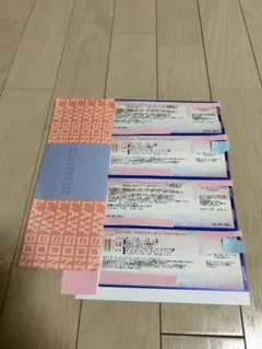 入場確約券付　エクスプレスパス４ USJ 2枚セット　日付指定