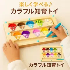 知育玩具 マグネットビーズ アイスクリーム 木製 おもちゃ 知育教育 幼児 子供