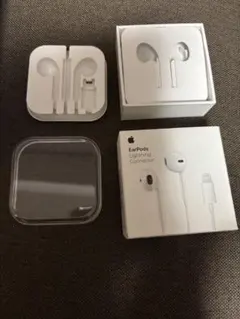 Apple EarPods Lightning Connector（ケースのみ）