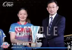 Item thumbnail for item 1b89a146-dc63-4d26-81d6-f0b672847f63