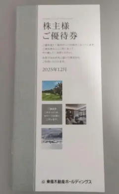 【未使用】　東急不動産ホールディングス　　株主優待 2026年8月31日まで