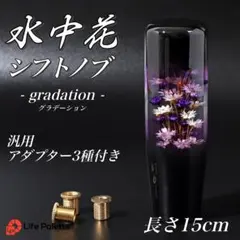 2026年最新】水中花シフトノブ 当時物の人気アイテム - メルカリ