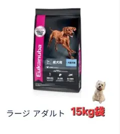 Eukanuba　 チキン　大型 成犬用ドライフード 15kg