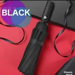 ブラック 黒 12本骨 折りたたみ傘 晴雨兼用 男女兼用 雨傘 日傘 遮光