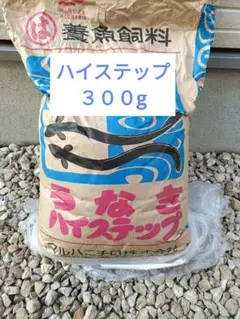 林兼産業 ハイステップ 200g うなぎの餌 ウナギの餌 鰻の餌 練り餌
