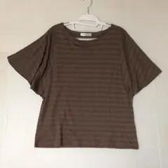 Golden Bear ブラウン ストライプ Tシャツ LL