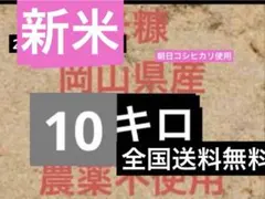 ゆうきんぐ「即購入・無言購入大歓迎！」 ゆうきんぐ「即購入・無言購入大歓迎！」様専用 【公式通販】