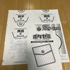 早稲アカ　中学スタンダードテスト 中1 2024年度 6月3教科　平均点メモ付きのサムネイル