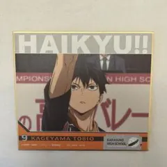 【一番くじ】劇場版ハイキュー‼︎ゴミ捨て場の決戦2 F賞　色紙　影山飛雄