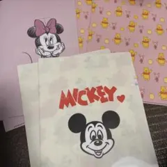 ディズニー クリアファイル ミッキーマウス ミニーマウス くまのプーさん