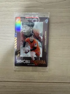 ラグビー リーグワン ウエハース 藤原忍選手
