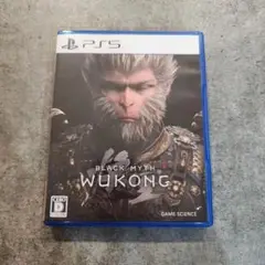 PS5 黒神話:悟空