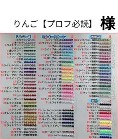 りんご【プロフ必読】　様　専用