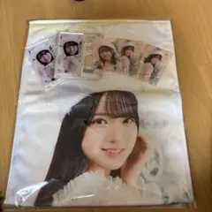 瀬戸口心月　NOGI's Holy Christmasセット