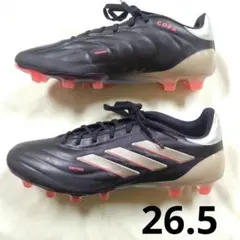 Item thumbnail for item cf9c994d-248b-47c3-970e-9df7c02499a5