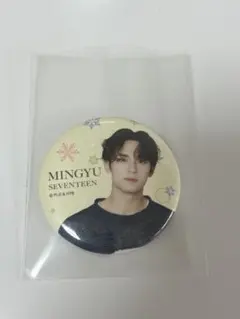 SEVENTEEN セブチ ミンギュ MINGYU 缶バッジ