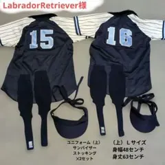 Item thumbnail for item 943166af-20a0-489a-bc97-eaa625f07543