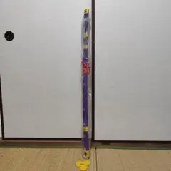 Item thumbnail for item 95b35084-51fb-4f35-ad7f-172604a368f8