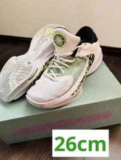 Jordan Zoom Freak 4 10.5 ホワイト/マルチカラー Jordan Zoom Freak 4 10.5 ホワイト/マルチカラー Jordan Zoom