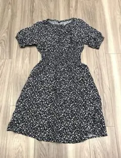 Item thumbnail for item 507e6bff-430d-4767-b468-ad50dde89f4e