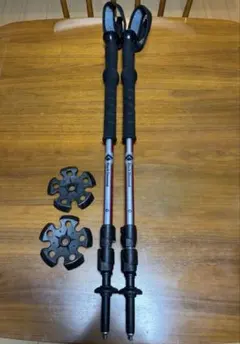 スキーストック GABEL 2015年製 伸縮可能 カーボン製 - メルカリ