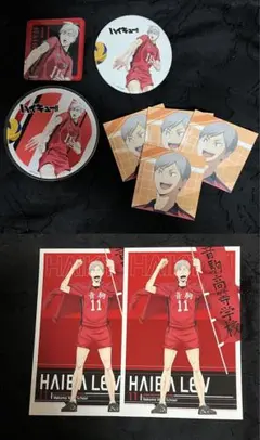 ハイキュー 劇場版　ゴミ捨て場の決戦 音駒高校 灰羽リエーフ