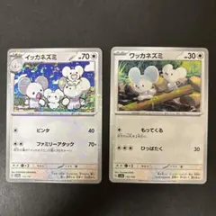 ポケモンカード イッカネズミ ワッカネズミ ミラー2枚セット