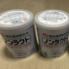森永乳業 ノンラクト 無乳糖調整粉末 300g 2個 - メルカリ