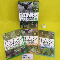 虫・ムシ おもしろ図鑑 セット〈3枚組〉