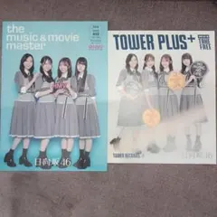 【２種セット】日向坂46 イチャイチャ虫 発売記念 フリーペーパー フライヤー