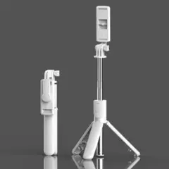 Item thumbnail for item df2a1abb-e445-4032-943a-0baaa931fda9