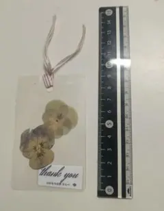 Item thumbnail for item 074806f6-2000-46b4-9560-7794fb919dd9