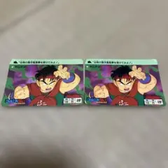ドラゴンボール 初期 カードダス PPカード ブルマ ヤムチャ 廃盤 激