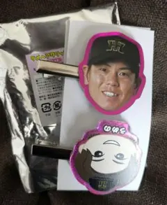 ☆阪神タイガース ラメヘアクリップ 2点セットのサムネイル