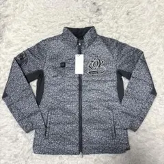 Item thumbnail for item 1ced17f5-da9d-4fe6-8c8f-1213e723fa75