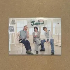 ジ*ン様 ミセスグリーンアップル ZENJIN / ゼンジン フォトカード 04