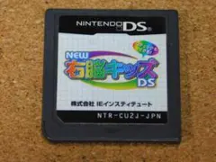 ｒ★ＤＳ★ＮＥＷ右脳キッズＤＳ　ＩＱチェックもできる！（ソフトのみ）☆送料込み☆