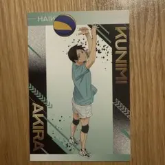 piyo様 リクエスト 2点 まとめ商品